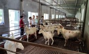 河源市人大常委会副主任、科协主席吴素香率队到龙川县开展科普教育基地调研工作