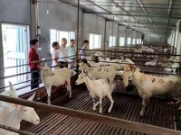 河源市人大常委会副主任、科协主席吴素香率队到龙川县开展科普教育基地调研工作