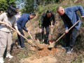 省科协系统开展“我为广东种棵树”义务植树主题党日活动