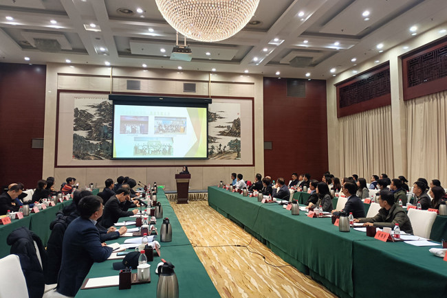 图片8