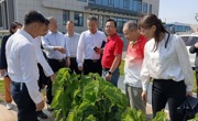 云浮市科协组织部分科协委员赴江苏省苏州市、镇江市开展学习考察活动