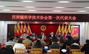 云浮市郁南县历洞镇召开会议选举成立镇级科协