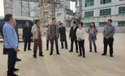 武汉理工大学资源与环境工程学院专家团队莅茂开展高岭土产业调研
