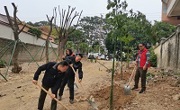 清远市科协机关党支部开展植树主题党日活动